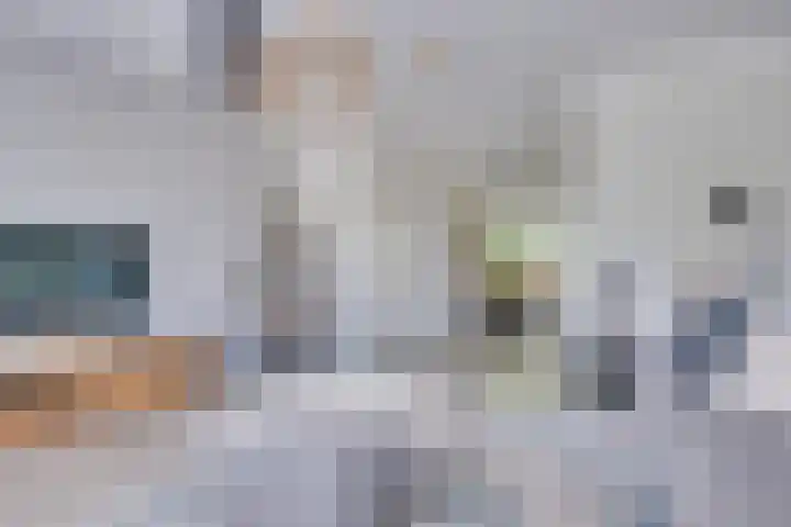 Zesde Donk 70 's-Hertogenbosch thumbnail 6