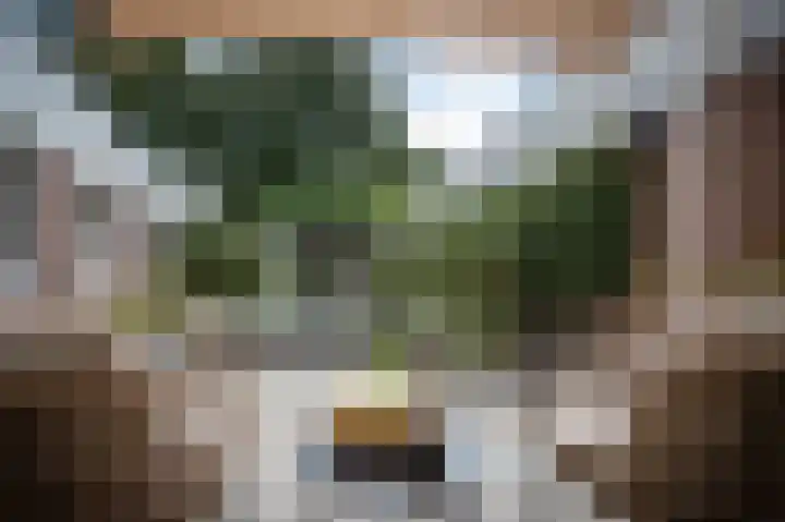 Zesde Herven 13 's-Hertogenbosch thumbnail 30
