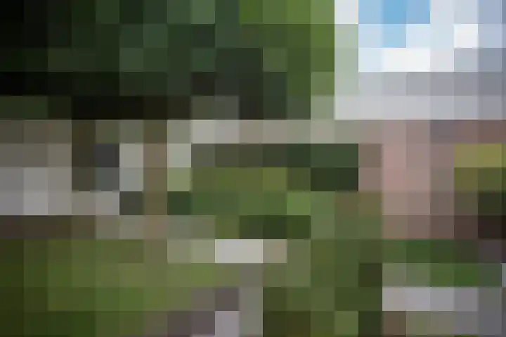 Zesde Herven 13 's-Hertogenbosch thumbnail 32