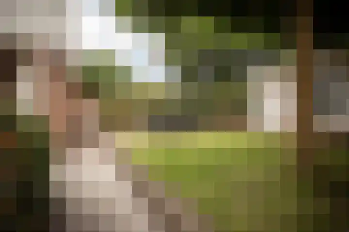 Zesde Herven 13 's-Hertogenbosch thumbnail 34