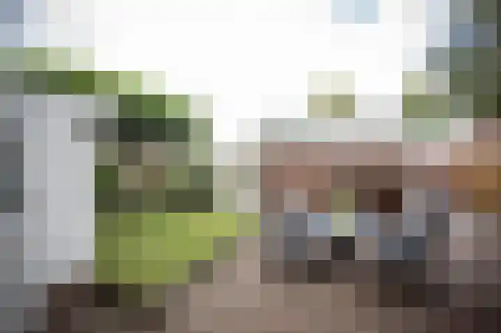 Zesde Herven 13 's-Hertogenbosch thumbnail 35