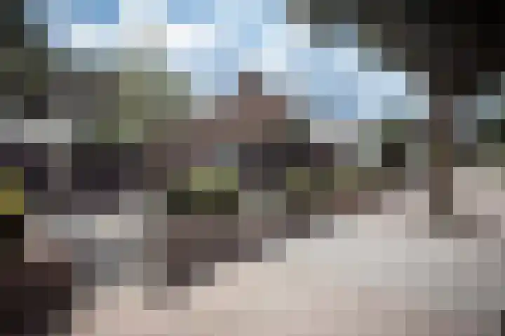 Zesde Herven 13 's-Hertogenbosch thumbnail 39