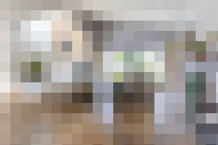 Zesde Herven 13 's-Hertogenbosch thumbnail 9