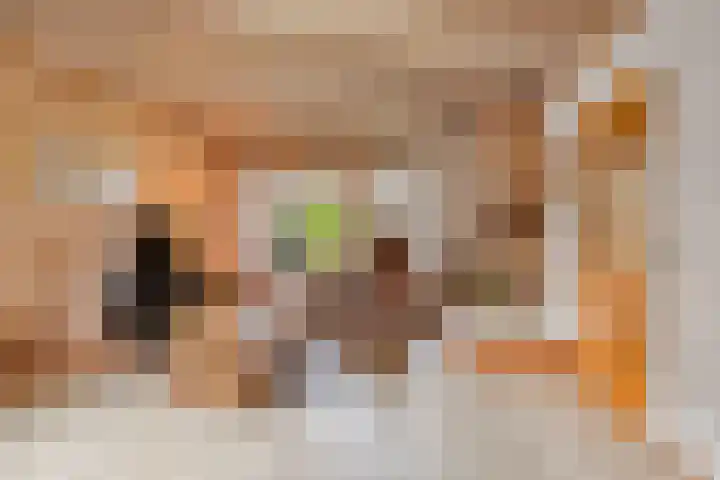 Zeskamp 20 Ulft thumbnail 11
