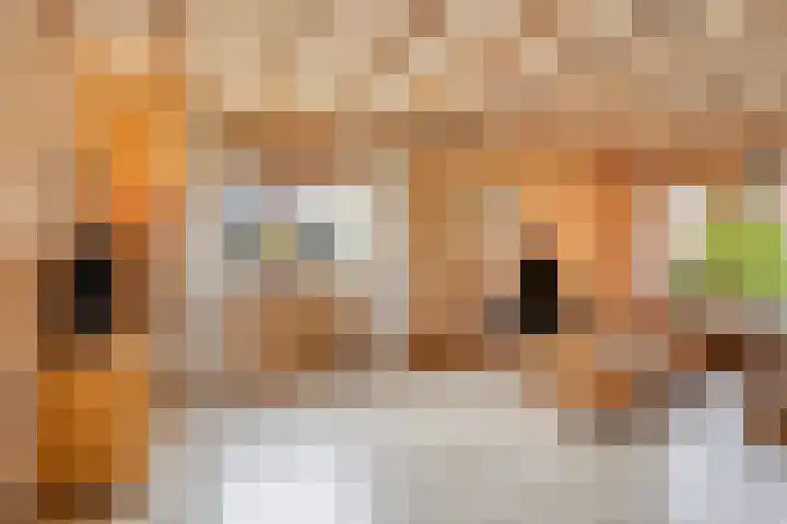 Zeskamp 20 Ulft thumbnail 12