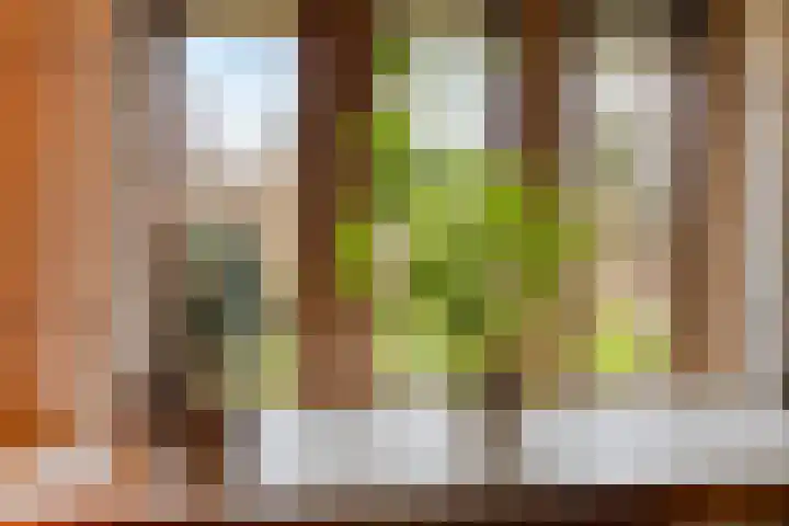 Zeskamp 20 Ulft thumbnail 13