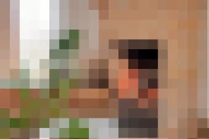 Zeskamp 20 Ulft thumbnail 14