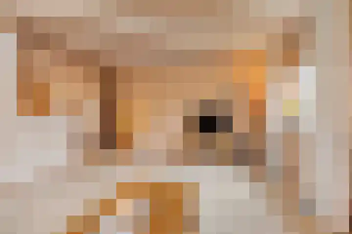 Zeskamp 20 Ulft thumbnail 16