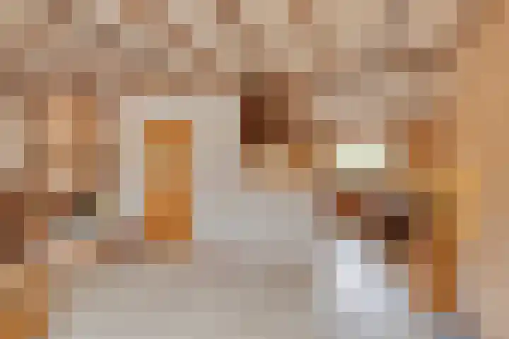 Zeskamp 20 Ulft thumbnail 17
