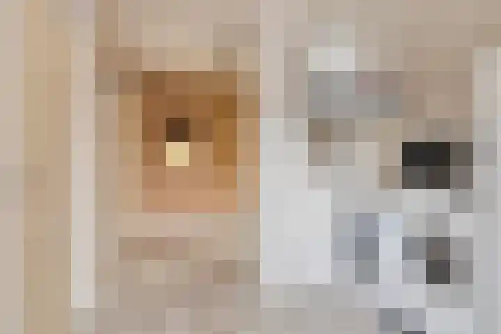 Zeskamp 20 Ulft thumbnail 25