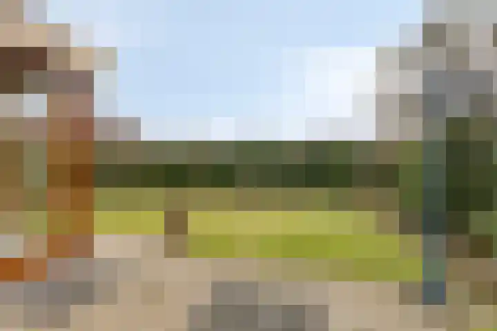 Zeskamp 20 Ulft thumbnail 55