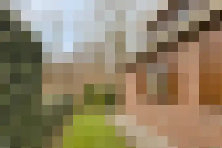 Zeskamp 20 Ulft thumbnail 57