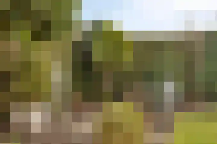 Zeskamp 20 Ulft thumbnail 59