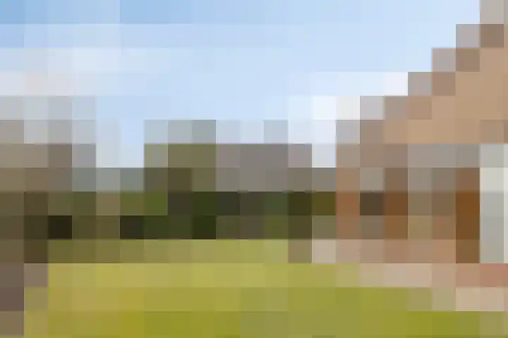 Zeskamp 20 Ulft thumbnail 60