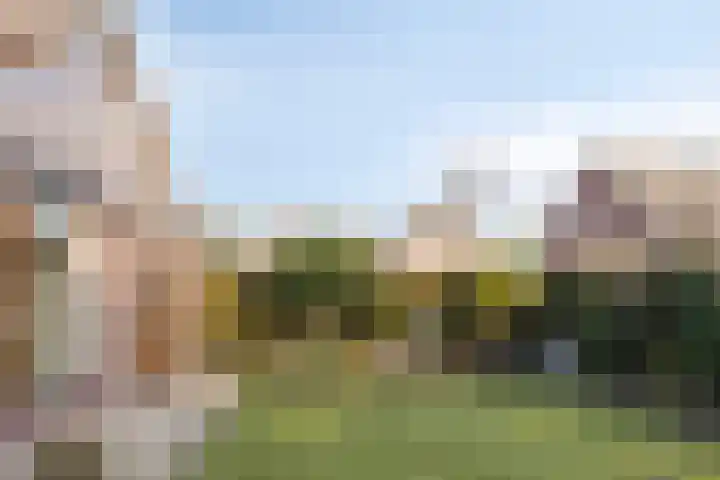 Zeskamp 20 Ulft thumbnail 61