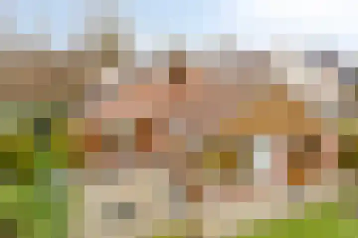 Zeskamp 20 Ulft thumbnail 62