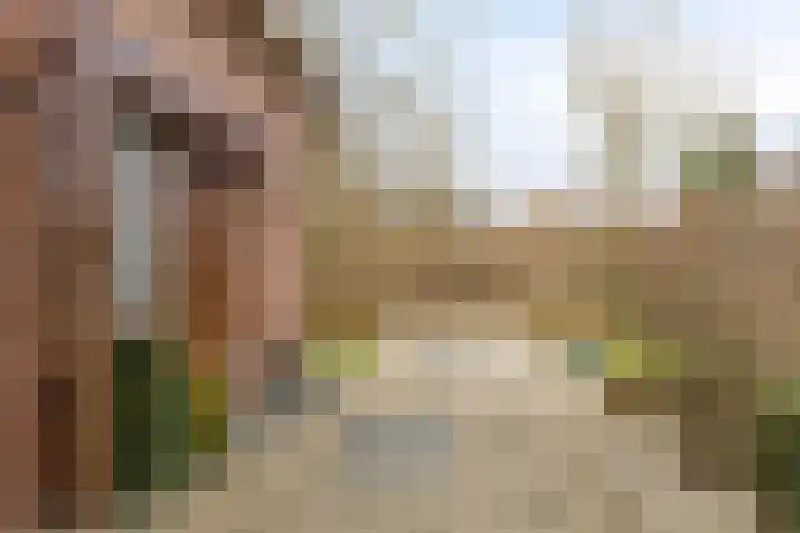 Zeskamp 20 Ulft thumbnail 63