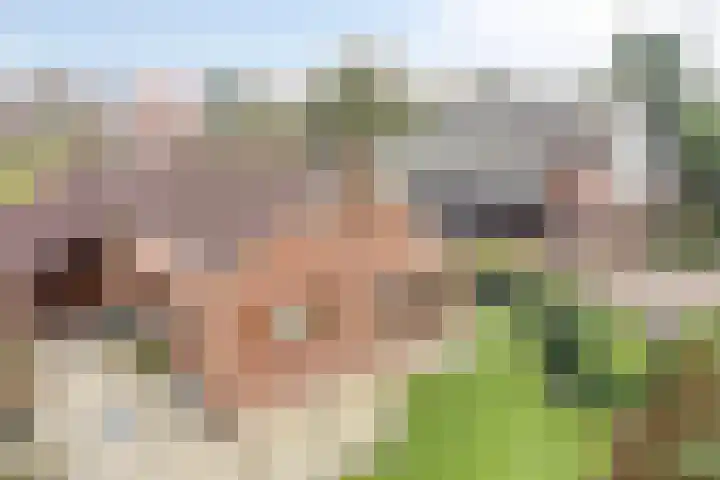 Zeskamp 20 Ulft thumbnail 66