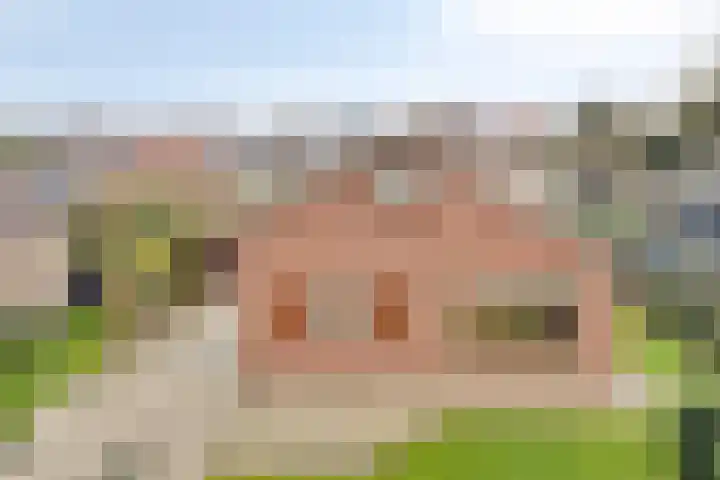 Zeskamp 20 Ulft thumbnail 67