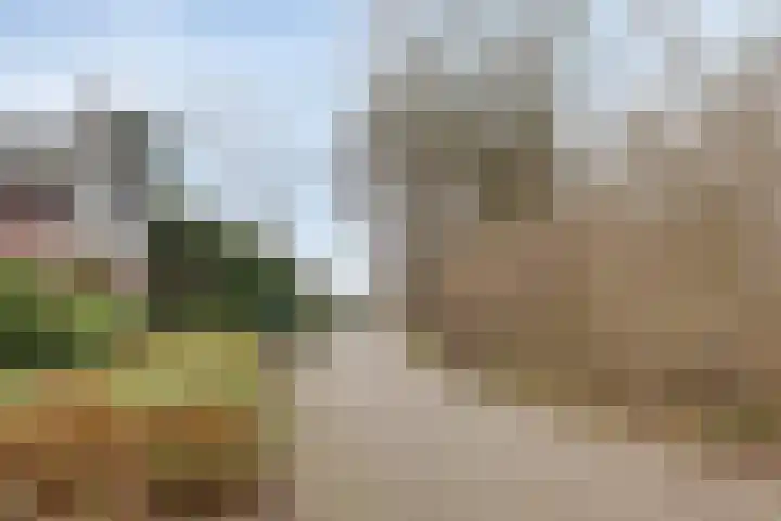 Zeskamp 20 Ulft thumbnail 68