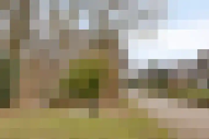 Zeskamp 20 Ulft thumbnail 69