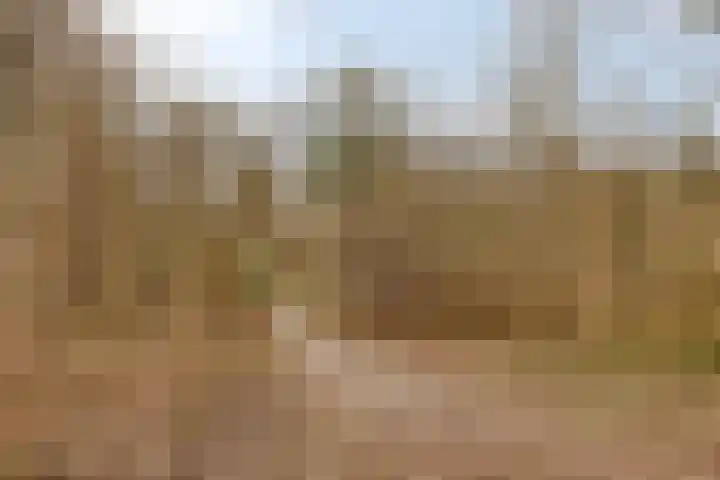 Zeskamp 20 Ulft thumbnail 70