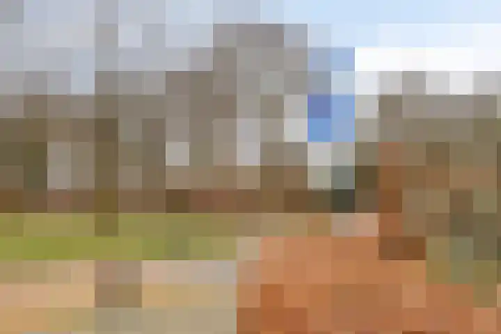 Zeskamp 20 Ulft thumbnail 72