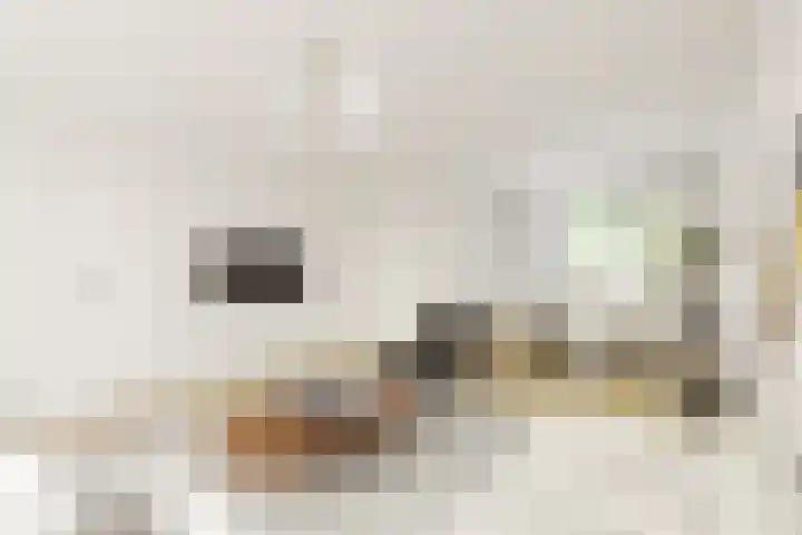Zeskant 161 Heerlen thumbnail 5