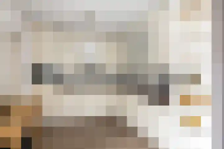 Zeskanter 5 Sneek thumbnail 10