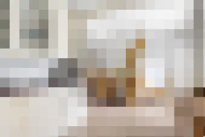 Zeskanter 5 Sneek thumbnail 12
