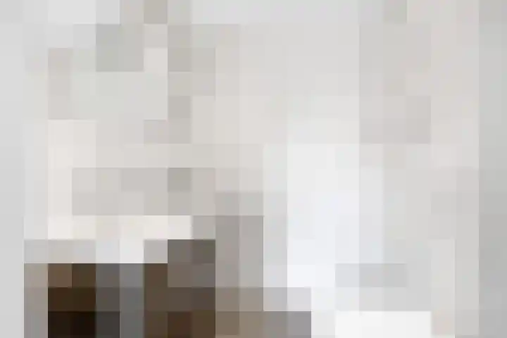 Zeskanter 5 Sneek thumbnail 19