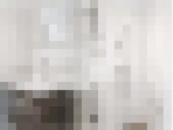 Zeskanter 5 Sneek thumbnail 20