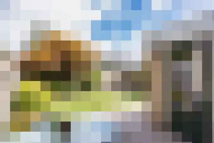 Zeskanter 5 Sneek thumbnail 32