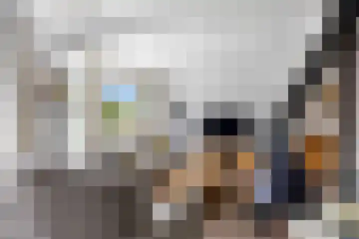 Zeskanter 5 Sneek thumbnail 4