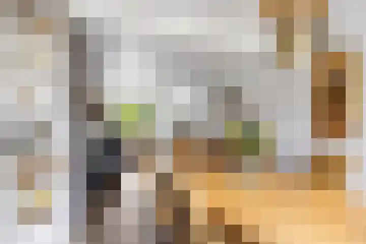 Zeskanter 5 Sneek thumbnail 8