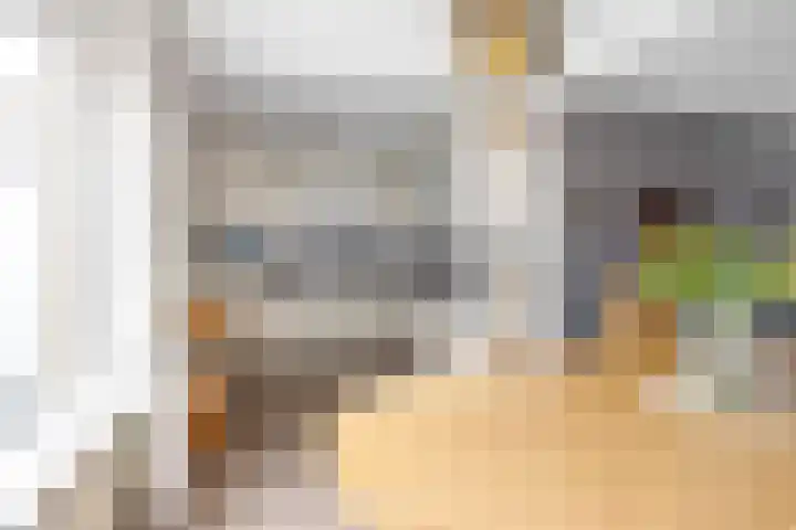 Zeskanter 5 Sneek thumbnail 9