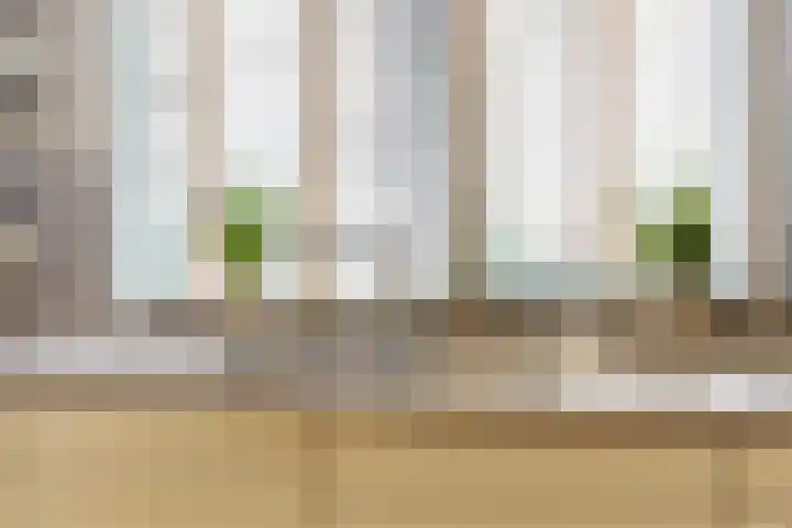 Zesmorgen 100 Heteren thumbnail 12