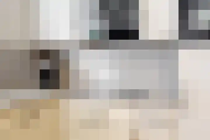Zesmorgen 100 Heteren thumbnail 14