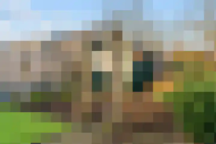 Zesmorgen 100 Heteren thumbnail 31