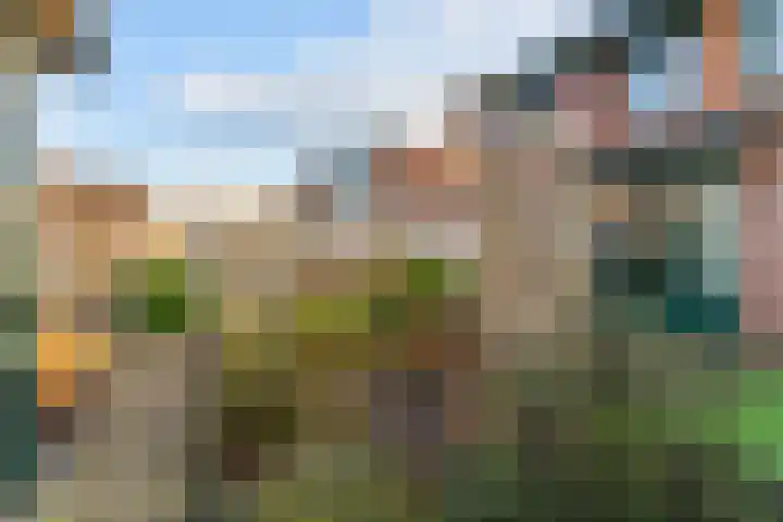 Zesmorgen 100 Heteren thumbnail 33