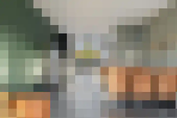 Zesmorgen 100 Heteren thumbnail 37