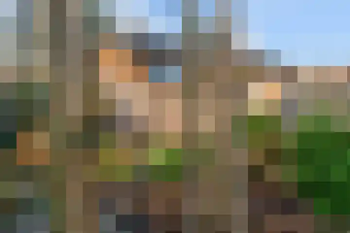 Zesmorgen 100 Heteren thumbnail 37