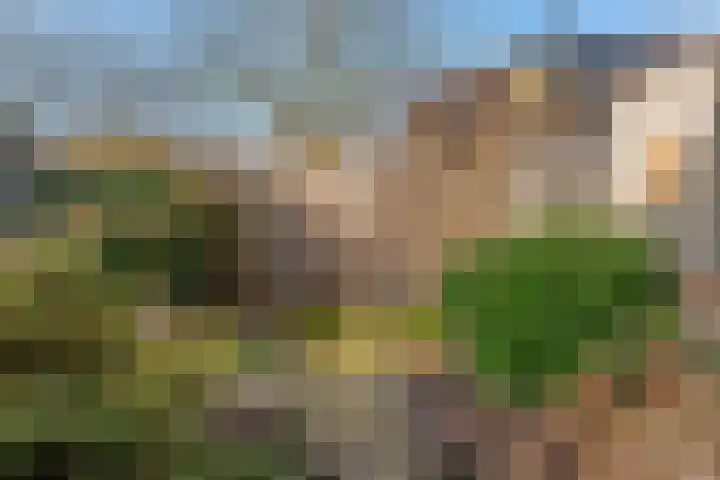 Zesmorgen 100 Heteren thumbnail 38
