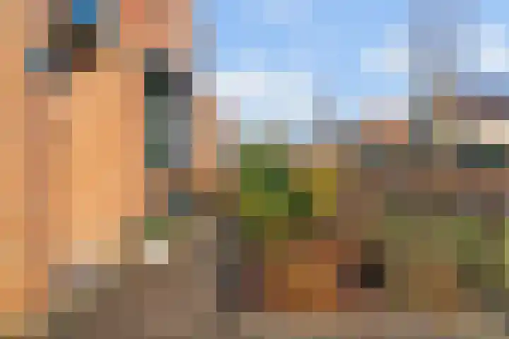 Zesmorgen 100 Heteren thumbnail 41