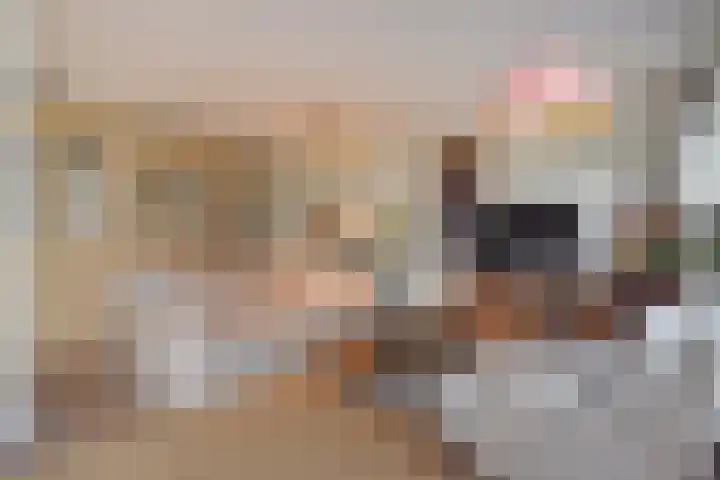 Zetveld 16 Nootdorp thumbnail 10