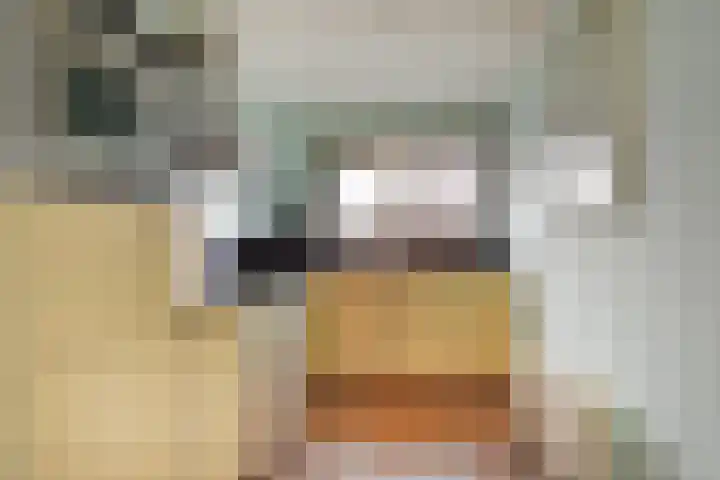 Zetveld 16 Nootdorp thumbnail 14