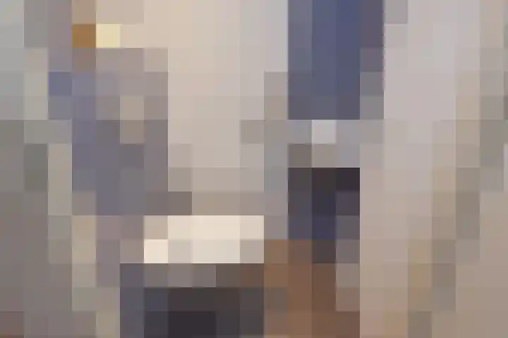Zetveld 16 Nootdorp thumbnail 19