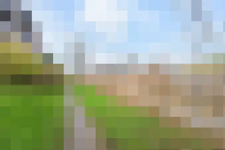 Zetveld 16 Nootdorp thumbnail 37