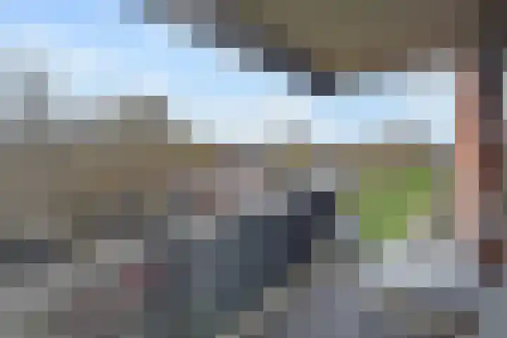 Zetveld 16 Nootdorp thumbnail 6