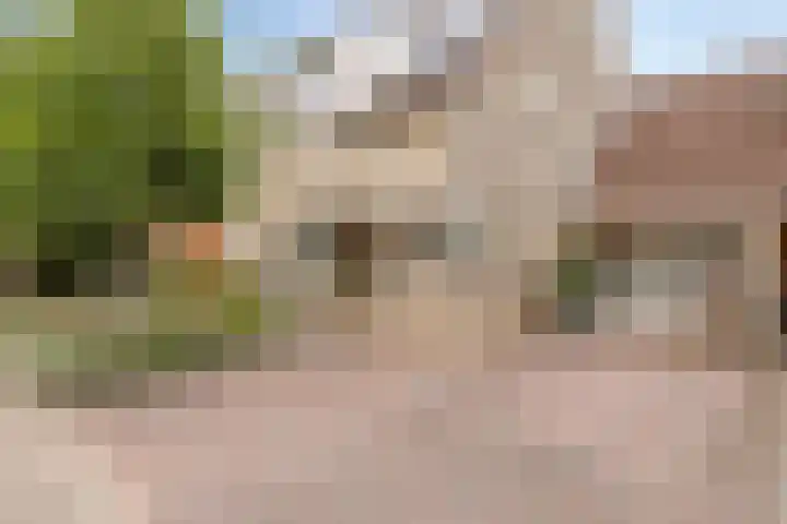 Zevenblad 30 Borne thumbnail 10
